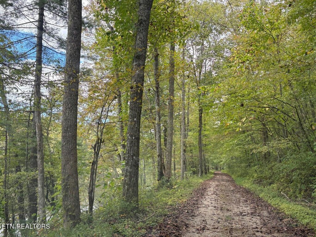 Photo of Lot 139 Bear Den Tr, Grandview, TN 37337 (MLS # 1323767)