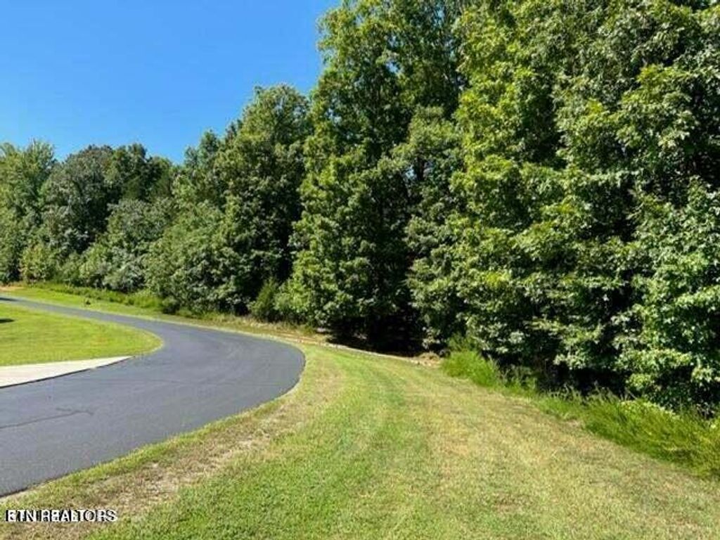 Photo of E Shore Drive, Rockwood, TN 37854 (MLS # 1285850)