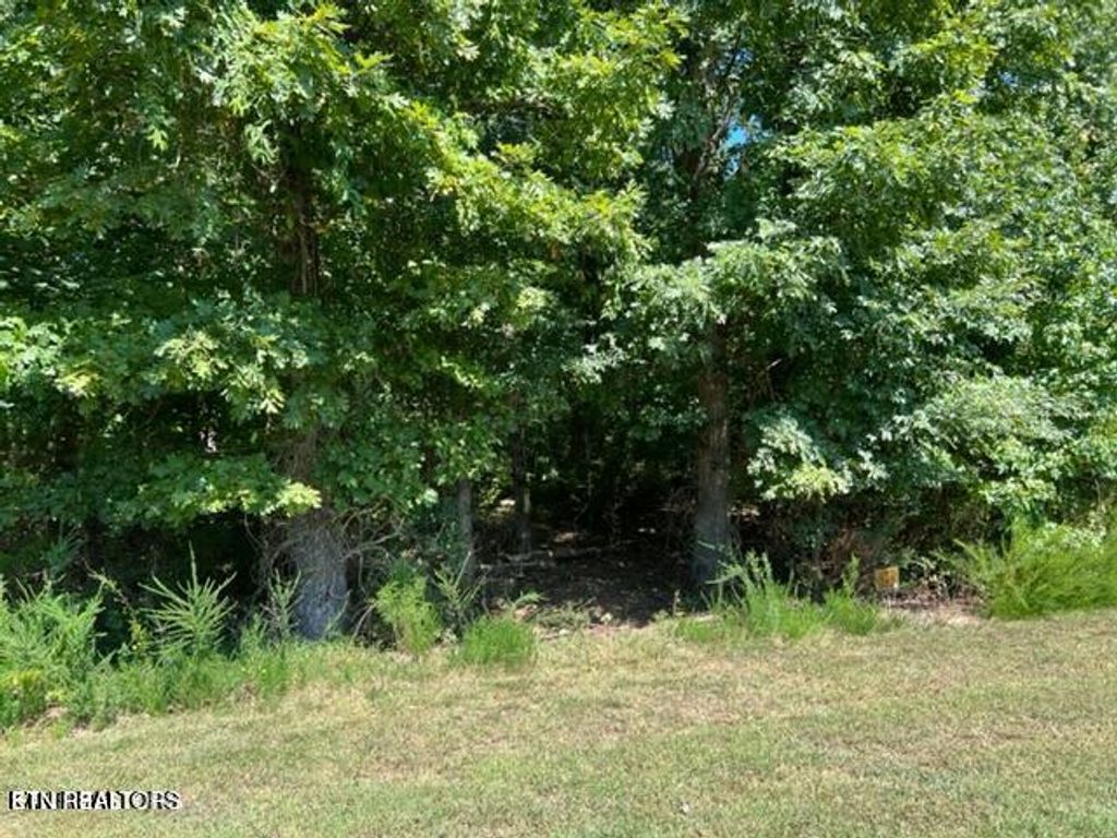 Photo of E Shore Drive, Rockwood, TN 37854 (MLS # 1285850)