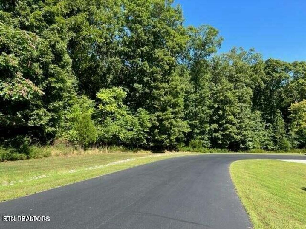 Photo of E Shore Drive, Rockwood, TN 37854 (MLS # 1285850)