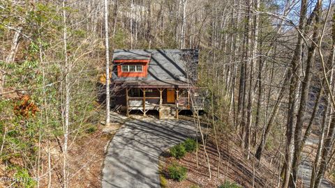 Tiny photo for 253 Cartertown Rd, Gatlinburg, TN 37738 (MLS # 1330184)