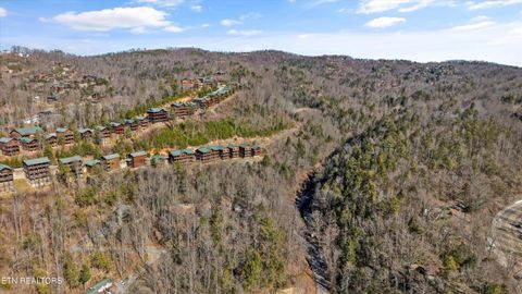 Tiny photo for 253 Cartertown Rd, Gatlinburg, TN 37738 (MLS # 1330184)