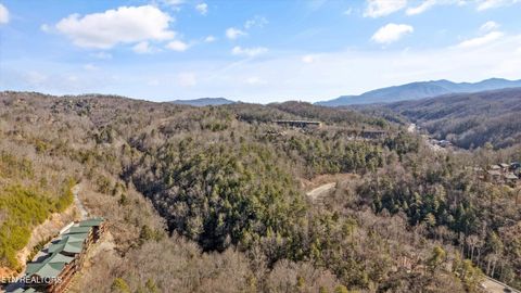 Tiny photo for 253 Cartertown Rd, Gatlinburg, TN 37738 (MLS # 1330184)