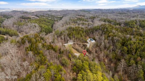 Tiny photo for 393 Lane Hollow Rd, Sevierville, TN 37876 (MLS # 1333733)