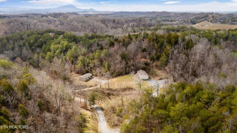Tiny photo for 393 Lane Hollow Rd, Sevierville, TN 37876 (MLS # 1333733)