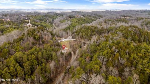 Tiny photo for 393 Lane Hollow Rd, Sevierville, TN 37876 (MLS # 1333733)