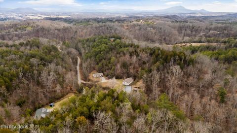 Tiny photo for 393 Lane Hollow Rd, Sevierville, TN 37876 (MLS # 1333733)