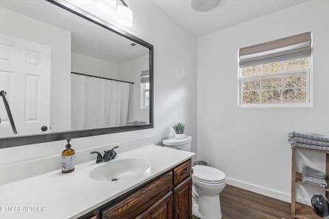 Tiny photo for 393 Lane Hollow Rd, Sevierville, TN 37876 (MLS # 1333733)