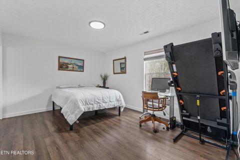 Tiny photo for 393 Lane Hollow Rd, Sevierville, TN 37876 (MLS # 1333733)