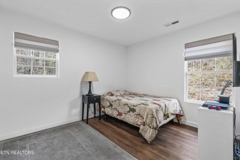 Tiny photo for 393 Lane Hollow Rd, Sevierville, TN 37876 (MLS # 1333733)