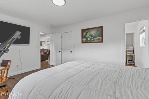 Tiny photo for 393 Lane Hollow Rd, Sevierville, TN 37876 (MLS # 1333733)