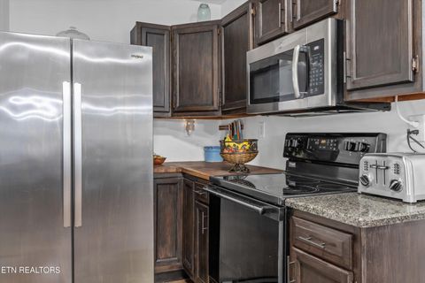 Tiny photo for 393 Lane Hollow Rd, Sevierville, TN 37876 (MLS # 1333733)