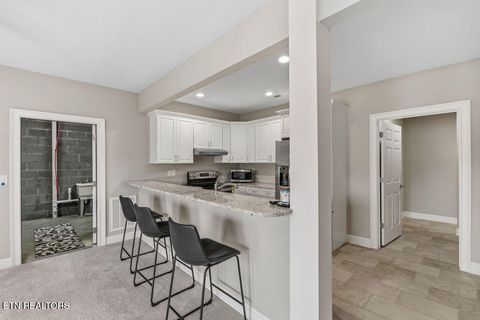 Tiny photo for 214 Unutsi Tr, Vonore, TN 37885 (MLS # 1330697)