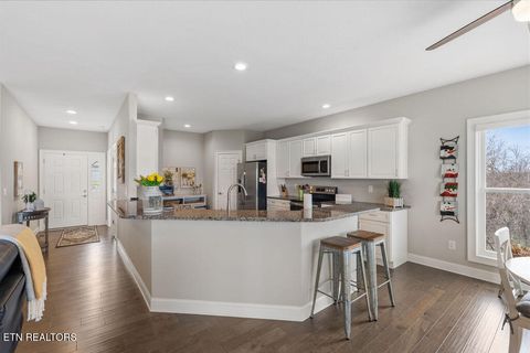 Tiny photo for 214 Unutsi Tr, Vonore, TN 37885 (MLS # 1330697)