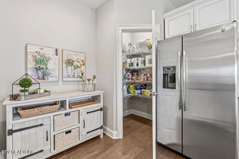 Tiny photo for 214 Unutsi Tr, Vonore, TN 37885 (MLS # 1330697)