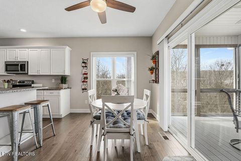 Tiny photo for 214 Unutsi Tr, Vonore, TN 37885 (MLS # 1330697)