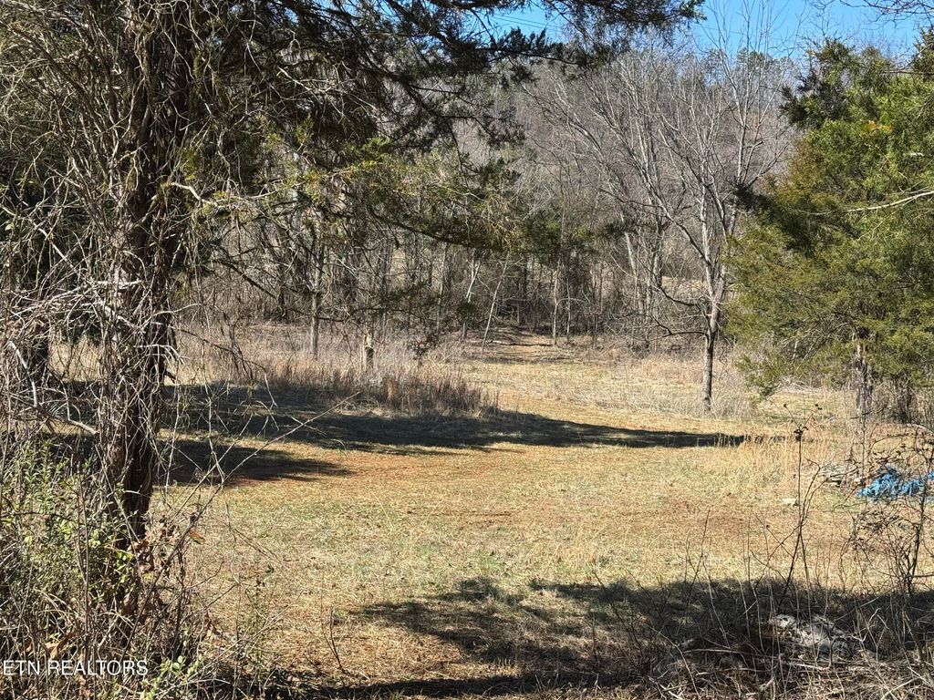 Photo of W Union Valley Rd, Seymour, TN 37865 (MLS # 1291235)
