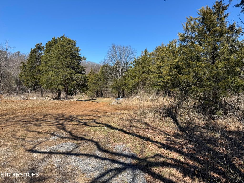 Photo of W Union Valley Rd, Seymour, TN 37865 (MLS # 1291235)