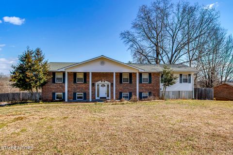 127 Scenic Lake Drive Harriman TN 37748