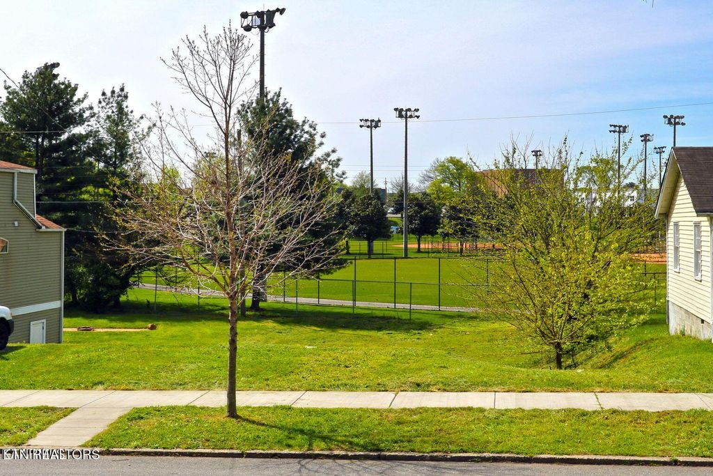 Photo of 1706 Woodbine Ave, Knoxville, TN 37917 (MLS # 1325952)