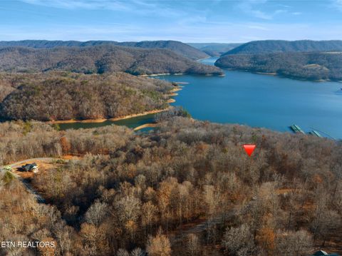 Photo of 527528 Garnet Tr, New Tazewell, TN 37825 (MLS # 1323968)