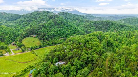 Tiny photo for 1560 Starwood Way, Sevierville, TN 37862 (MLS # 1340379)