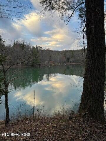 Tiny photo for 1218 Bear Den Rd, Grandview, TN 37337 (MLS # 1346881)