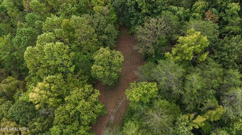 Tiny photo for 2324 County Road 758, Riceville, TN 37370 (MLS # 1307565)