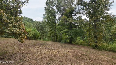 Tiny photo for 2324 County Road 758, Riceville, TN 37370 (MLS # 1307565)