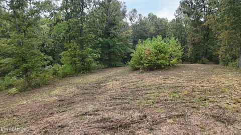 Tiny photo for 2324 County Road 758, Riceville, TN 37370 (MLS # 1307565)