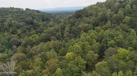 Tiny photo for 2324 County Road 758, Riceville, TN 37370 (MLS # 1307565)