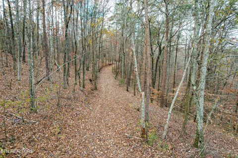 Tiny photo for 2324 County Road 758, Riceville, TN 37370 (MLS # 1307565)