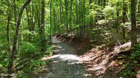 Tiny photo for 2324 County Road 758, Riceville, TN 37370 (MLS # 1307565)