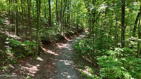 Tiny photo for 2324 County Road 758, Riceville, TN 37370 (MLS # 1307565)