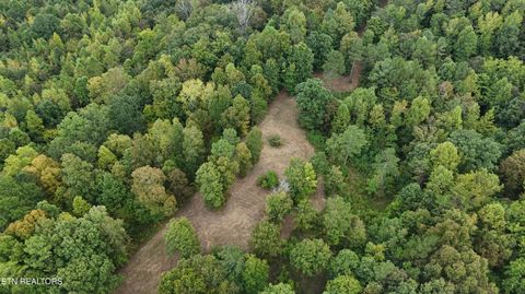 Tiny photo for 2324 County Road 758, Riceville, TN 37370 (MLS # 1307565)