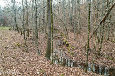 Tiny photo for 2324 County Road 758, Riceville, TN 37370 (MLS # 1307565)