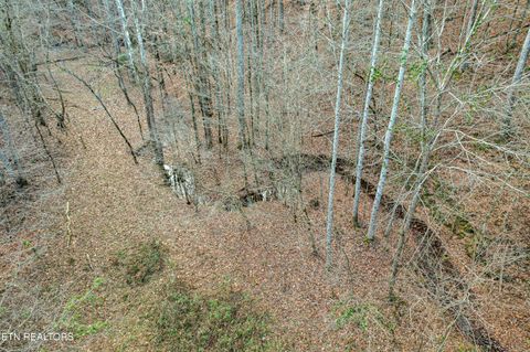 Tiny photo for 2324 County Road 758, Riceville, TN 37370 (MLS # 1307565)