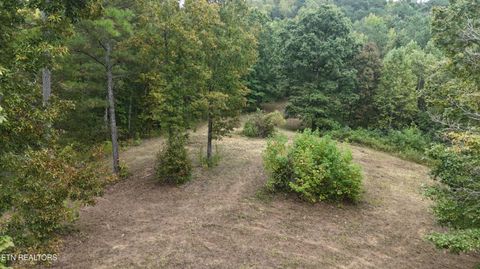 Tiny photo for 2324 County Road 758, Riceville, TN 37370 (MLS # 1307565)