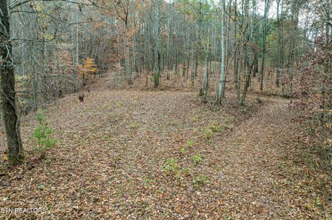 Tiny photo for 2324 County Road 758, Riceville, TN 37370 (MLS # 1307565)