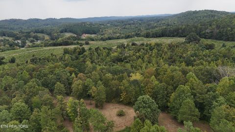 Tiny photo for 2324 County Road 758, Riceville, TN 37370 (MLS # 1307565)