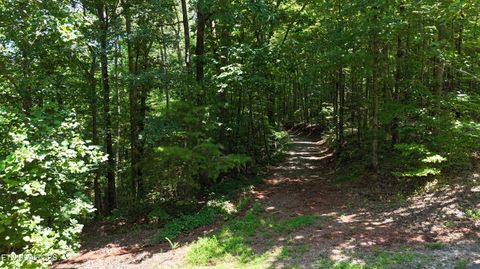 Tiny photo for 2324 County Road 758, Riceville, TN 37370 (MLS # 1307565)