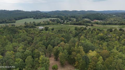 Tiny photo for 2324 County Road 758, Riceville, TN 37370 (MLS # 1307565)