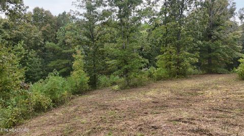 Tiny photo for 2324 County Road 758, Riceville, TN 37370 (MLS # 1307565)