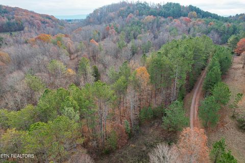 Tiny photo for 2324 County Road 758, Riceville, TN 37370 (MLS # 1307565)