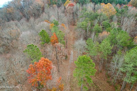 Tiny photo for 2324 County Road 758, Riceville, TN 37370 (MLS # 1307565)