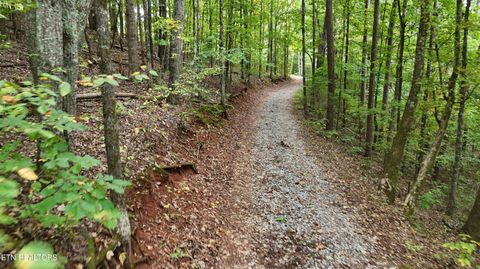 Tiny photo for 2324 County Road 758, Riceville, TN 37370 (MLS # 1307565)