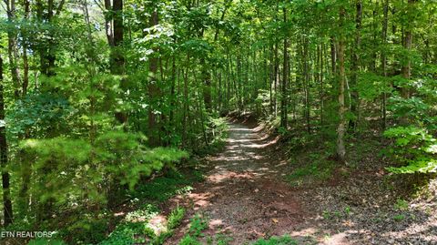 Tiny photo for 2324 County Road 758, Riceville, TN 37370 (MLS # 1307565)