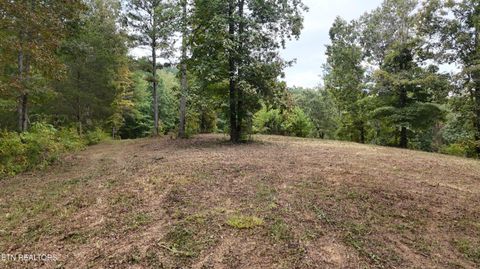 Tiny photo for 2324 County Road 758, Riceville, TN 37370 (MLS # 1307565)