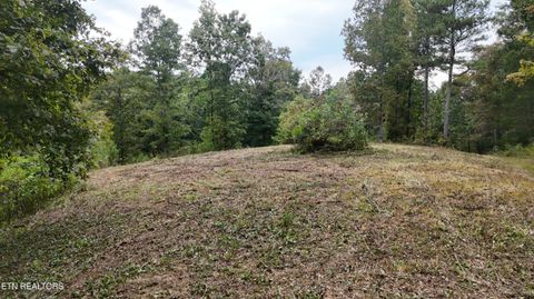Tiny photo for 2324 County Road 758, Riceville, TN 37370 (MLS # 1307565)