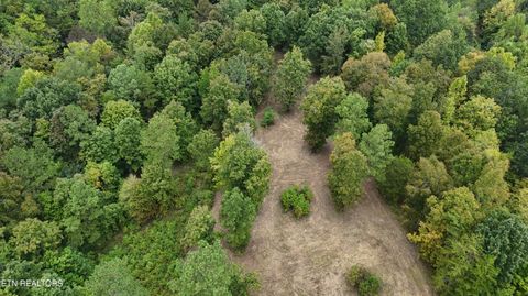 Tiny photo for 2324 County Road 758, Riceville, TN 37370 (MLS # 1307565)